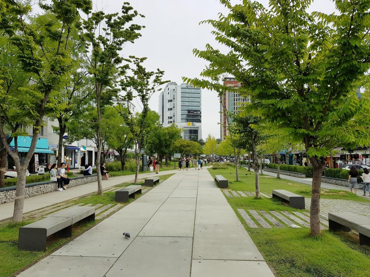 Căn hộ Dear House Seoul